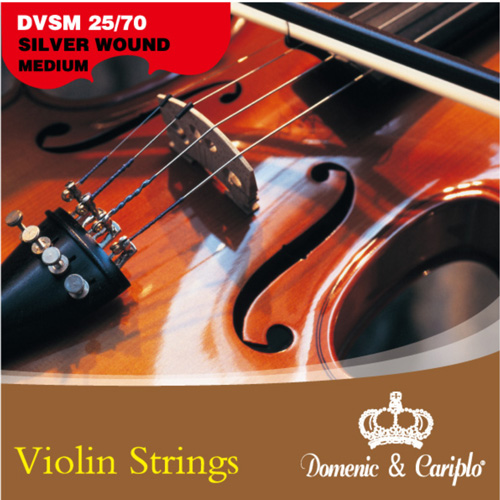 Violin Strings