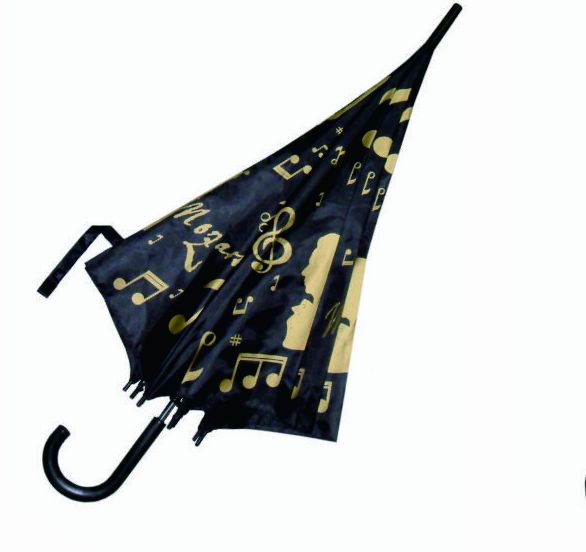 Umbrella